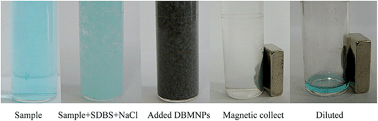 Graphical abstract: Anionic surfactant coacervation extraction-magnetic solid phase microextraction for determination of malachite green