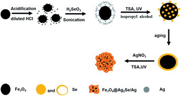 Graphical abstract: Multifunctional SERS substrates of Fe3O4@Ag2Se/Ag: construction, properties and application