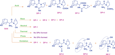 Graphical abstract: LC-ESI-MS/MS studies on saxagliptin and its forced degradation products