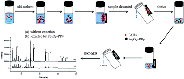 Graphical abstract: Rapid determination of polycyclic aromatic hydrocarbons in environmental water based on magnetite nanoparticles/polypyrrole magnetic solid-phase extraction