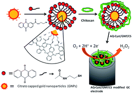 Graphical abstract: An anthraquinone moiety/cysteamine functionalized-gold nanoparticle/chitosan based nanostructured composite for the electroanalytical detection of dissolved oxygen within aqueous media
