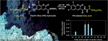 Graphical abstract: Microchip nonaqueous capillary electrophoresis of saturated fatty acids using a new fluorescent dye