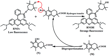 Graphical abstract: Evaluating the antioxidant capacity of polyphenols with an off–on fluorescence probe and the mechanism study