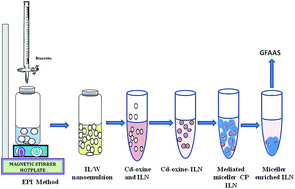 Graphical abstract: Development of green miniaturized dispersive ionic liquid nano-emulsion method for preconcentration of cadmium from canal and waste water samples prior to coupling with graphite furnace atomic absorption spectrometry