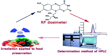 Graphical abstract: Chromatographic characteristics of water-soluble vitamins with irradiation processing and its application