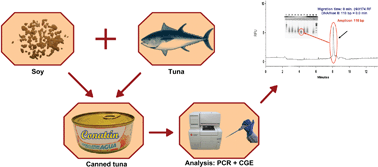 Graphical abstract: Soy detection in canned tuna by PCR and capillary electrophoresis