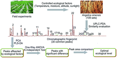 Graphical abstract: Multivariate statistical analysis based on a chromatographic fingerprint for the evaluation of important environmental factors that affect the quality of Angelica sinensis