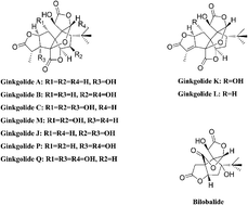 Graphical abstract: Qualitative and quantitative evaluation of ginkgo terpene lactone raw material by HPLC/Q-TOF MS combined with HPLC-DAD-ELSD