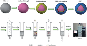 Graphical abstract: Preparation of surface molecularly imprinted polymers as the solid-phase extraction sorbents for the specific recognition of penicilloic acid in penicillin