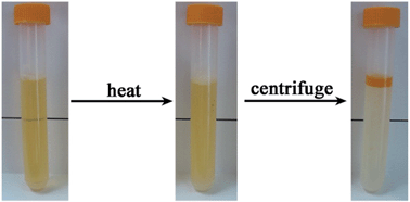 Graphical abstract: Spectrophotometric determination of Sunset Yellow in beverage after preconcentration by the cloud point extraction method