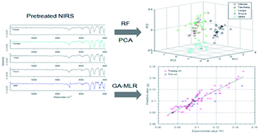 Graphical abstract: Qualitative and quantitative analysis of Angelica sinensis using near infrared spectroscopy and chemometrics