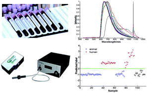 Graphical abstract: Discrimination of human and nonhuman blood using visible diffuse reflectance spectroscopy