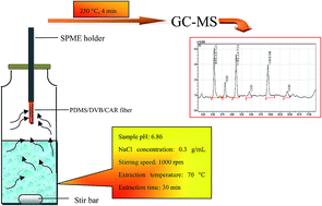 Graphical abstract: Simultaneous determination of six earthy–musty smelling compounds in water by headspace solid-phase microextraction coupled with gas chromatography-mass spectrometry