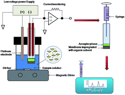 Graphical abstract: Two-phase electrodriven membrane extraction combined with liquid chromatography for the determination of tricyclic antidepressants in aqueous matrices