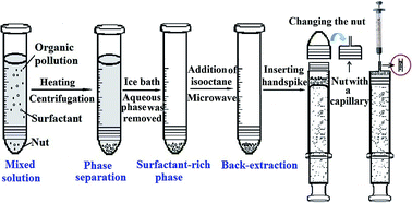 Graphical abstract: Centrifugal microextraction tube-cloud point extraction coupled with gas chromatography for simultaneous determination of six phthalate esters in mineral water