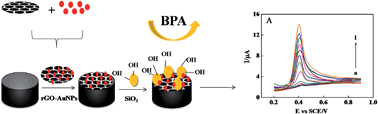 Graphical abstract: Electrochemical sensor for endocrine disruptor bisphenol A based on a glassy carbon electrode modified with silica and nanocomposite prepared from reduced graphene oxide and gold nanoparticles