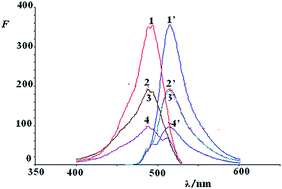 Graphical abstract: Sensitive and rapid biosensor for the determination of rhamnose based on the catalytic effect of the oxidation of calcein by H2O2