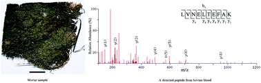 Graphical abstract: Proteomic identification of organic additives in the mortars of ancient Chinese wooden buildings