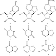 Graphical abstract: Analysis of nucleosides and nucleobases by microemulsion electrokinetic capillary chromatography coupled with field-amplified sample injection