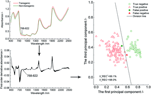 Graphical abstract: Vis-NIR wavelength selection for non-destructive discriminant analysis of breed screening of transgenic sugarcane