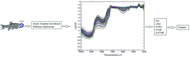 Graphical abstract: Rapid and nondestructive evaluation of fish freshness by near infrared reflectance spectroscopy combined with chemometrics analysis