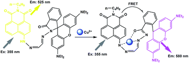 Graphical abstract: A fluorescent ratiometric Cu2+ probe based on FRET by naphthalimide-appended rhodamine derivatives