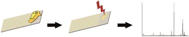 Graphical abstract: Cheese lipid profile using direct imprinting in glass surface mass spectrometry