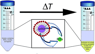 Graphical abstract: Quantification of rare earth elements using cloud point extraction with diglycolamide and ICP-MS for environmental analysis