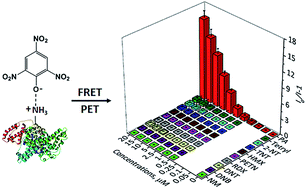 Graphical abstract: Protein-based sensitive, selective and rapid fluorescence detection of picric acid in aqueous media