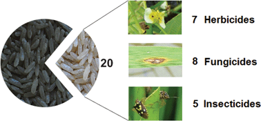 Graphical abstract: Determination of twenty pesticides in rice by employing QuEChERS and LC-ESI-MS/MS