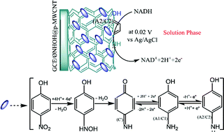 Graphical abstract: In situ stabilization of hydroxylamine via electrochemical immobilization of 4-nitrophenol on GCE/MWCNT electrodes: NADH electrocatalysis at zero potential