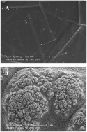 Graphical abstract: Using AuCo alloy nanoparticles/HS-graphene modified electrode for the selective determination of dopamine, ascorbic acid and uric acid