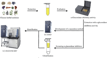 Graphical abstract: Screening and structural characterization of potential α-glucosidase inhibitors from Radix Astragali flavonoids extract by ultrafiltration LC-DAD-ESI-MSn