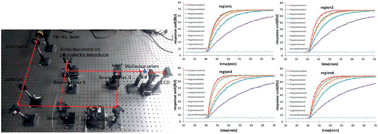 Graphical abstract: A label-free approach to kinetic analysis and high multiplex detection of targeted drugs with phase surface plasmon resonance imaging