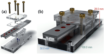 Graphical abstract: Portable platform for rapid and indirect photometric determination of water in ethanol fuel samples