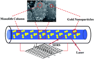 Graphical abstract: Gold-nanoparticle, functionalized-porous-polymer monolith enclosed in capillary for on-column SERS detection