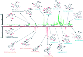 Graphical abstract: Characterization of multiple constituents in rat plasma after oral administration of Shengmai San using ultra-performance liquid chromatography coupled with electrospray ionization/quadrupole-time-of-flight high-definition mass spectrometry