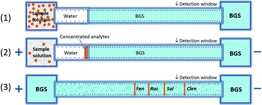 Graphical abstract: Simultaneous separation and sensitive detection of four β2-agonists in biological specimens by CE-UV using a field-enhanced sample injection method