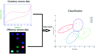 Graphical abstract: Classification of vinegar with different marked ages using olfactory sensors and gustatory sensors