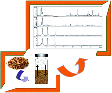 Graphical abstract: Comparison of the volatile profile of vine-shoots and oak chips by headspace-gas chromatography-mass spectrometry (HS-GC-MS)
