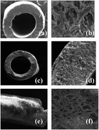 Graphical abstract: Determination of polycyclic aromatic hydrocarbons in water samples by hollow fiber extraction coupled with GC-MS