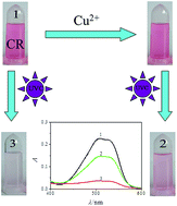 Graphical abstract: Trace copper ion detection by the suppressed decolorization of chromotrope 2R complex