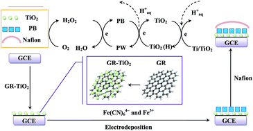 Graphical abstract: Facile and controllable synthesis of Prussian blue nanocubes on TiO2–graphene composite nanosheets for nonenzymatic detection of hydrogen peroxide