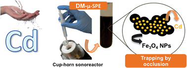 Graphical abstract: In situ growth of Fe3O4 nanoparticles for dispersive magnetic micro-solid phase extraction of cadmium followed by ETAAS detection