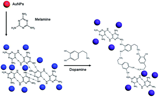 Graphical abstract: A colorimetric assay of dopamine utilizing melamine modified gold nanoparticle probes