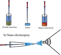 Graphical abstract: Untreated and dried sample analysis by solid probe assisted nanoelectrospray ionization mass spectrometry