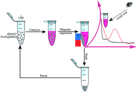 Graphical abstract: Preparation of magnetic core–shell nanoflower Fe3O4@MnO2 as reusable oxidase mimetics for colorimetric detection of phenol