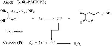 Graphical abstract: The effect of acidity, hydrogen bond catalysis and auxiliary electrode reaction on the oxidation peak current for dopamine, uric acid and tryptophan