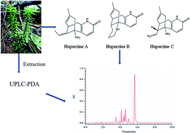 Graphical abstract: Simultaneous determination of three alkaloids in Huperzia serrata by UPLC-PDA and UPLC-Q/TOF-MS