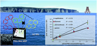 Graphical abstract: Selective extraction of light polycyclic aromatic hydrocarbons in environmental water samples with pseudo-template thin-film molecularly imprinted polymers